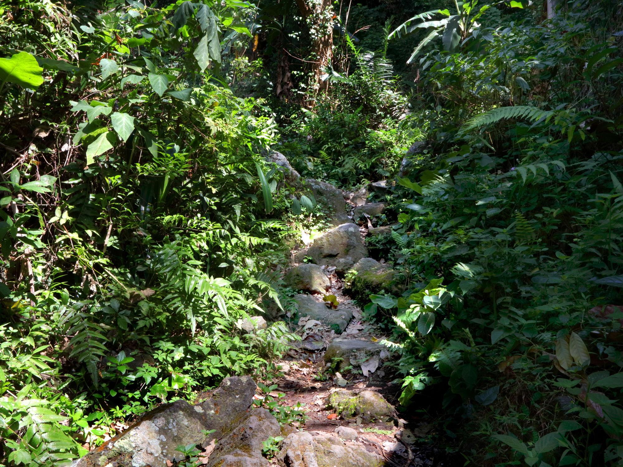 Mimpi Resort Tulamben Exterior photo